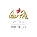University Center César Ritz logo