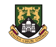 University of Limerick logo